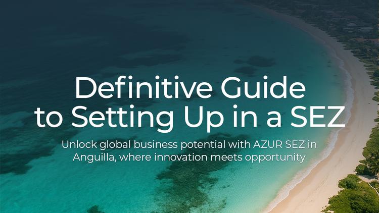 The Definitive Guide to Setting Up in a SEZ